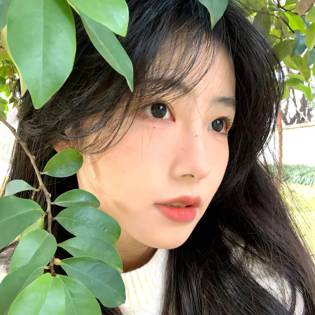 明星大侦探第四季